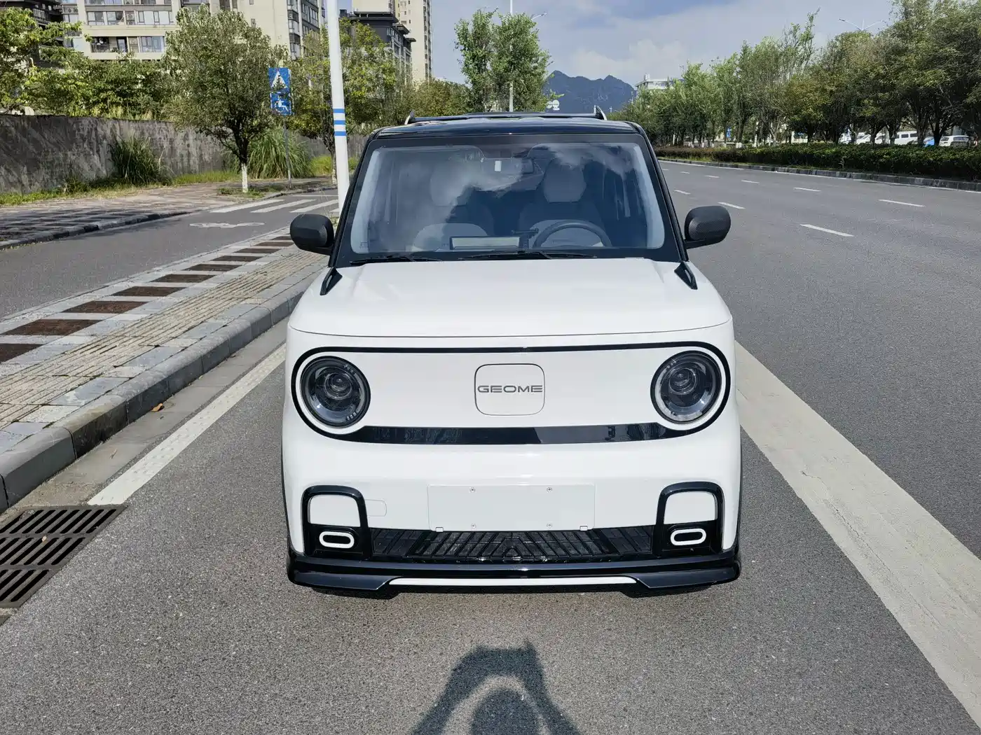 Geely Galaxy Panda 2025 2025 Model Year 210km Panda Kart