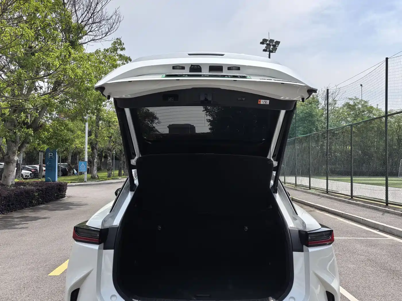 Lexus RZ 2023 450e 4WD Deluxe фото 9