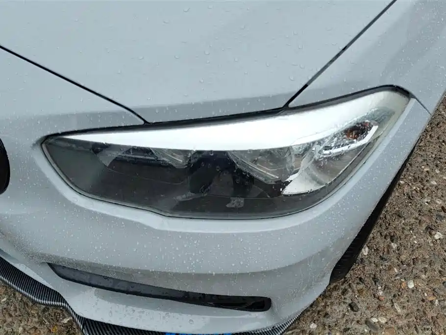 BMW 1 Series (Import) 2016 118i Leading фото 5