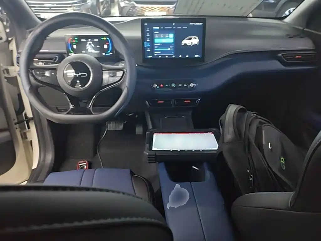 BYD Seagull 2025 Smart Drive Edition 305km Vitality Version фото 10