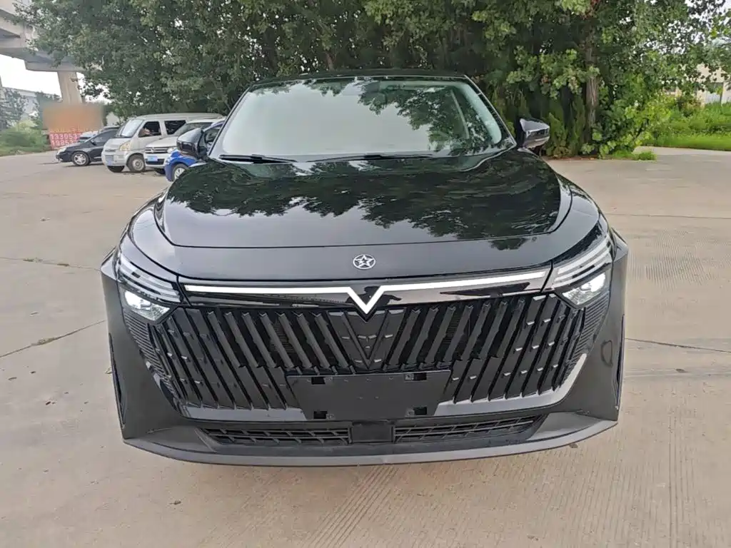 Venucia DaV DD-i 2024 2023 60km iD Edition