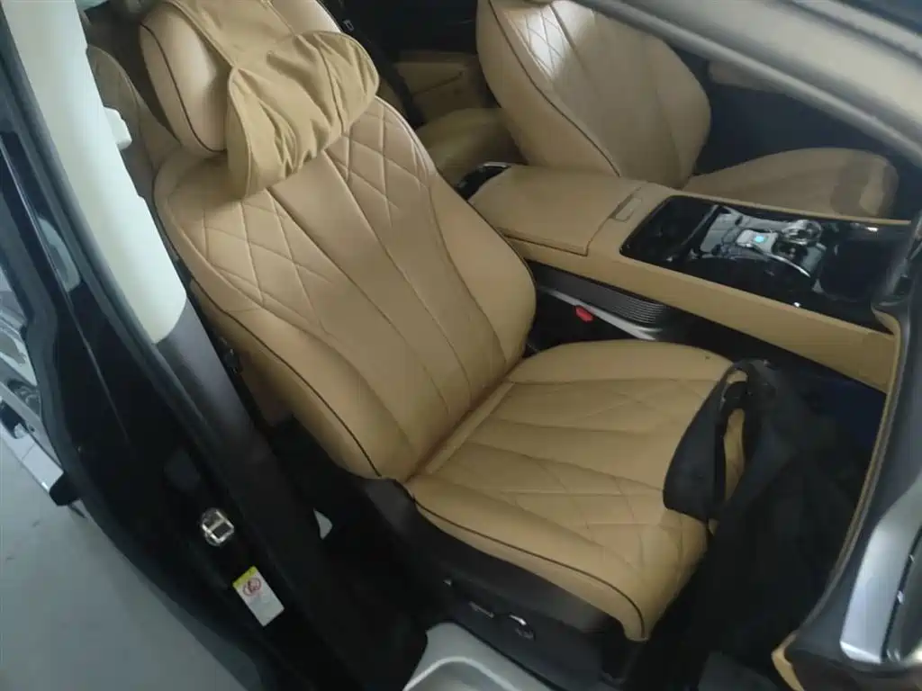 Denza D9 2024 DM-i 980 AWD Prestige фото 25