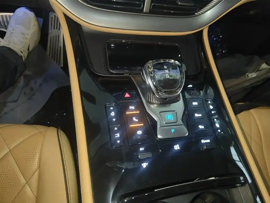 Denza D9 2024 DM-i 980 AWD Prestige фото 14