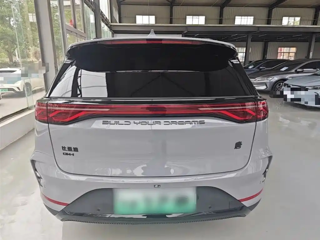 BYD Tang New Energy 2025 DM-i 115KM Premium фото 6