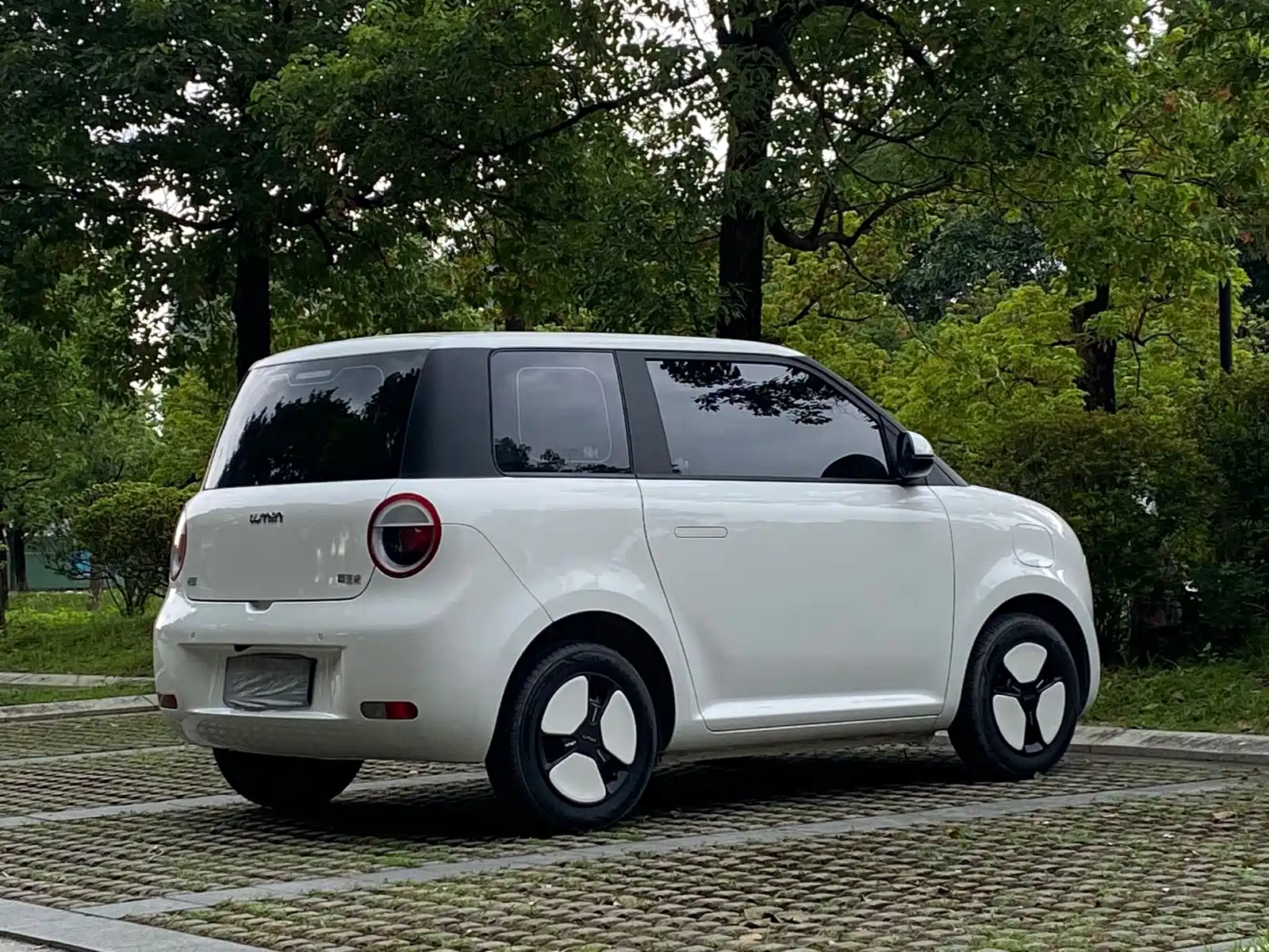Photo 17 - Changan Lumin