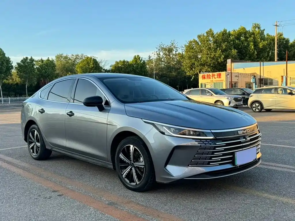 Фото 3 - BYD Destroyer 05