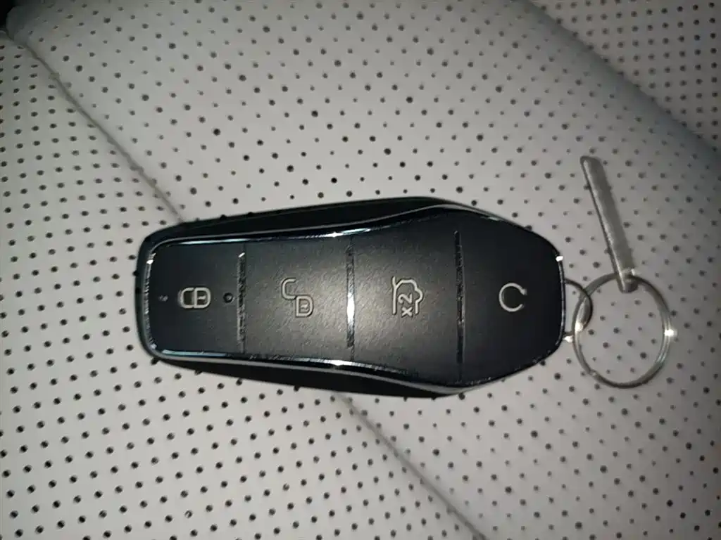 BYD Sealion 06 New Energy 2025 EV 605 Pilot Pro Edition фото 9