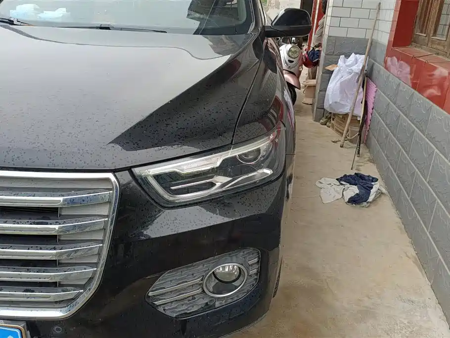 Haval H6 2017 Red Label 2.0T Auto 2WD Smart фото 5