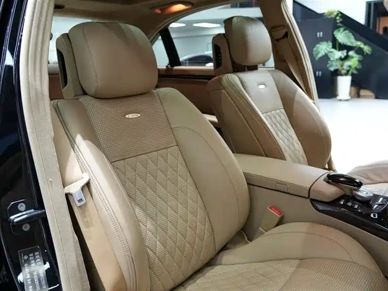 Mercedes-Benz S-Class AMG 2010 AMG S 65 фото 15