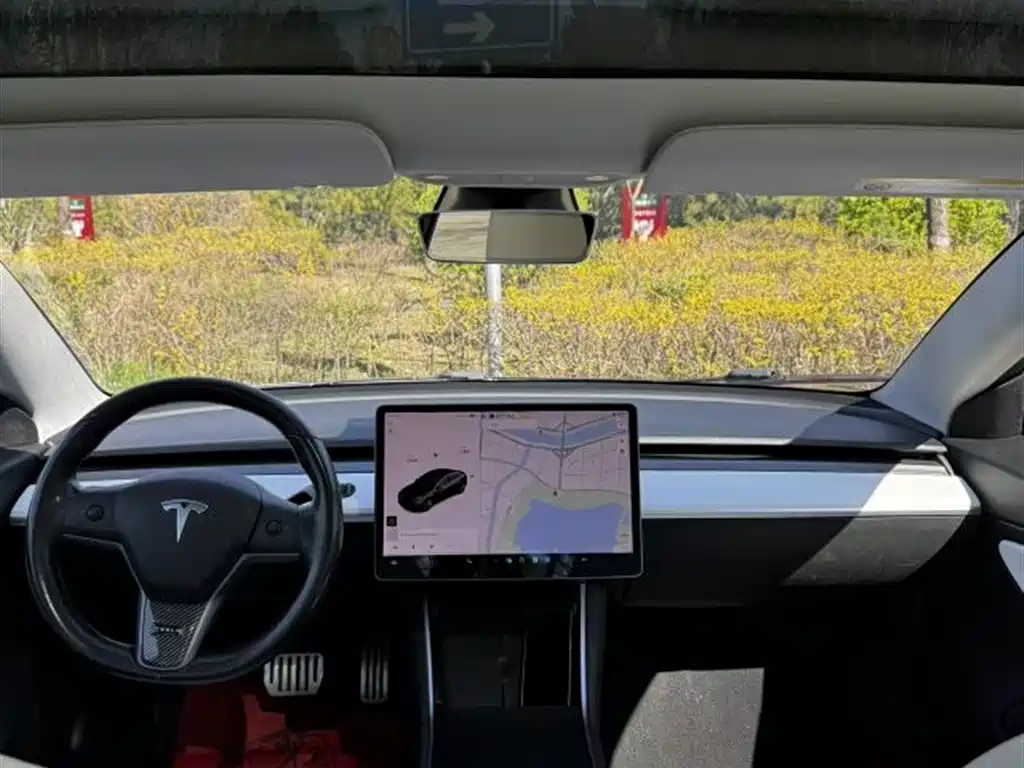 TESLA MODEL 3 (IMPORTED)