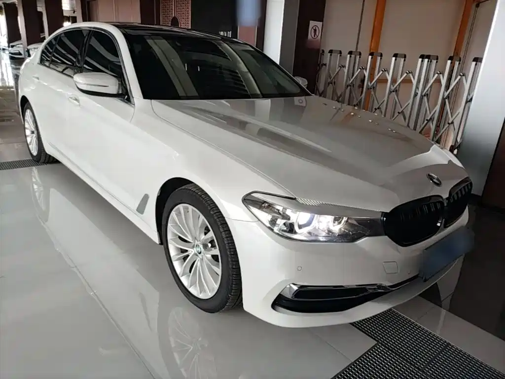 BMW 5 Series 2020 525Li Luxury Package фото 4