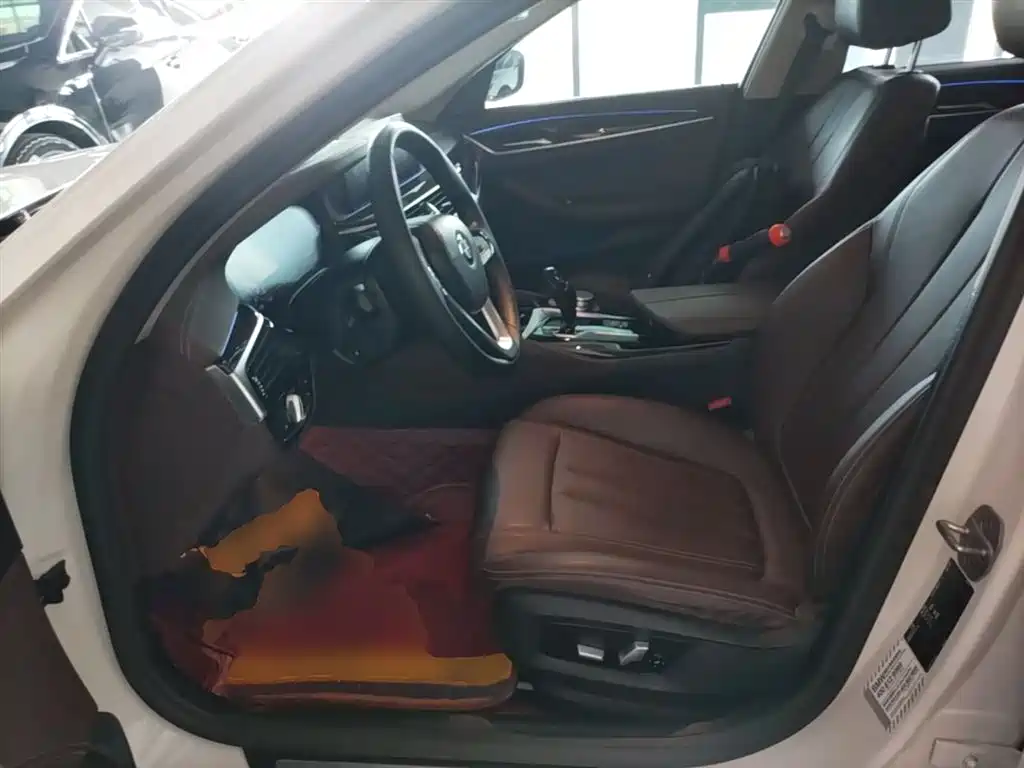 BMW 5 Series 2020 525Li Luxury Package фото 15