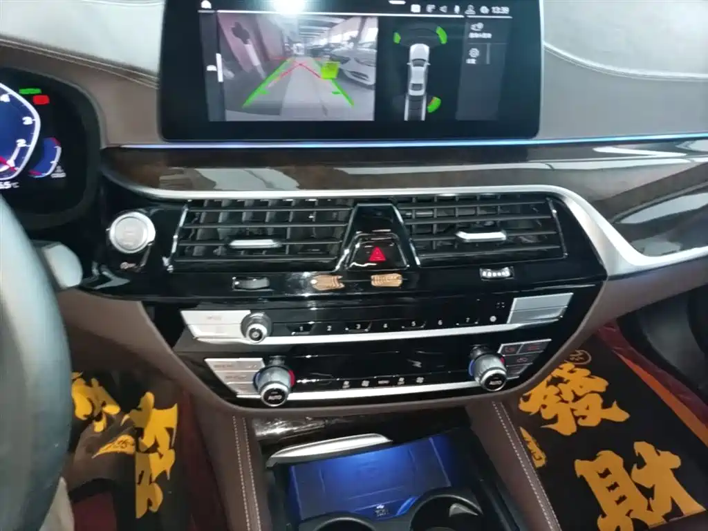 BMW 5 Series 2020 525Li Luxury Package фото 13