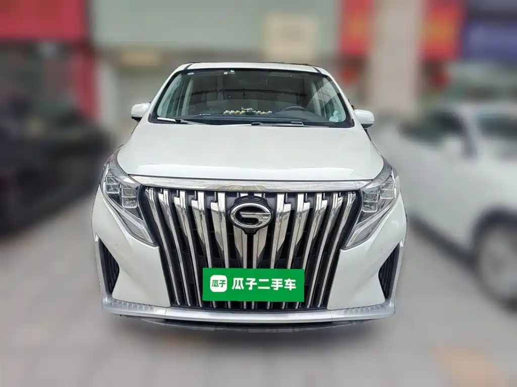 GAC Trumpchi Trumpchi M8 2021 Master Series 390T Prestige Edition фото 24