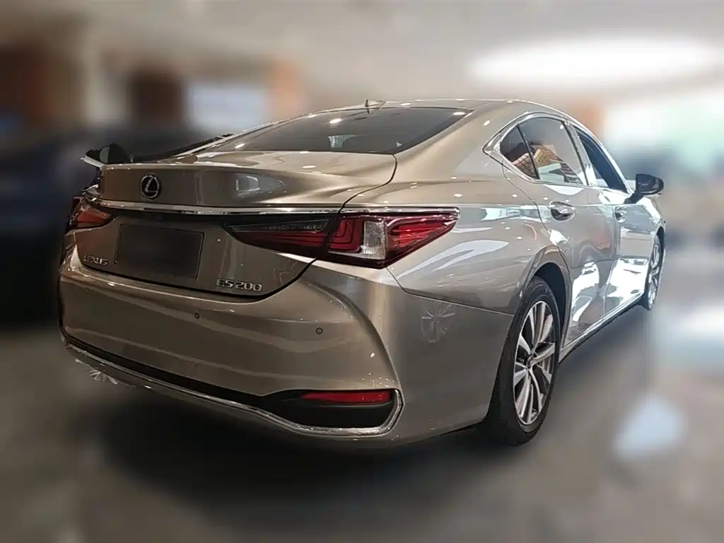 Lexus ES 2018 200 Luxury Edition China V фото 12