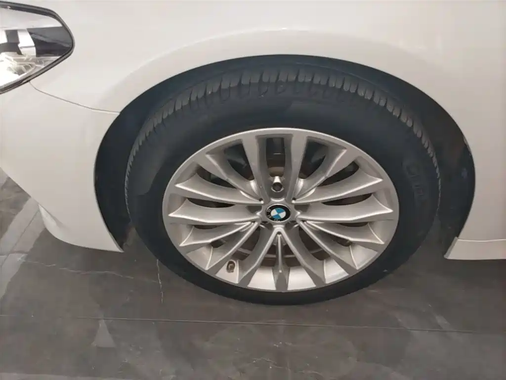 BMW 5 Series 2020 525Li Luxury Package фото 23
