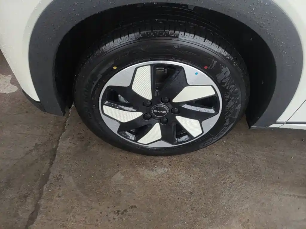 BYD Dolphin 2026 2025 420km Freedom Edition