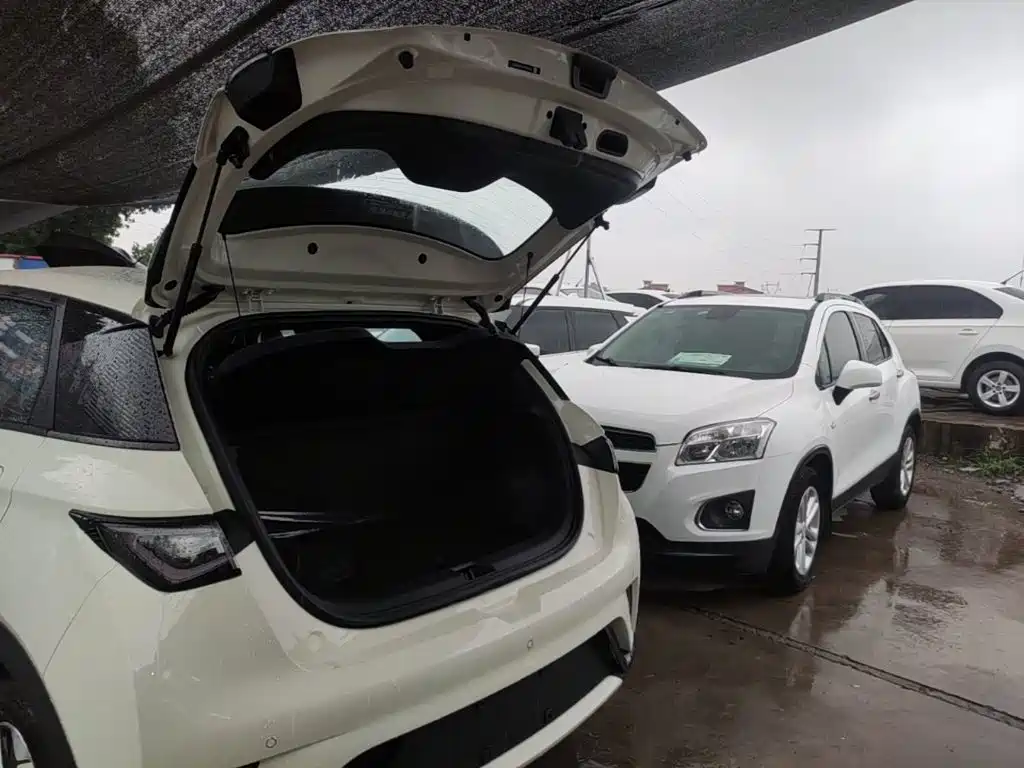 BYD Dolphin 2026 2025 420km Freedom Edition