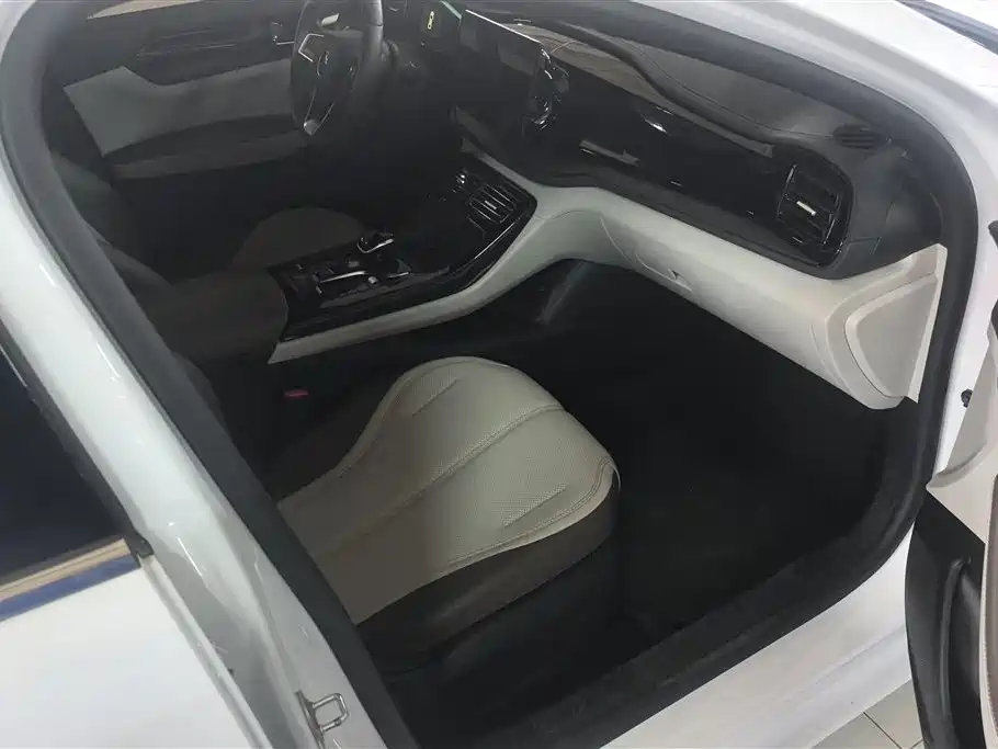 BYD Qin PLUS 2024 Glory Edition DM-i 55KM Leading фото 8