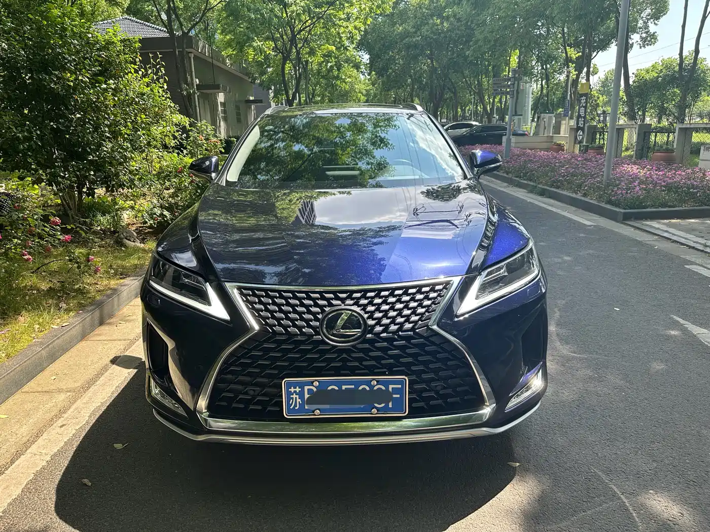 Lexus RX 2020 Facelift 300 2WD Elite Edition фото 2
