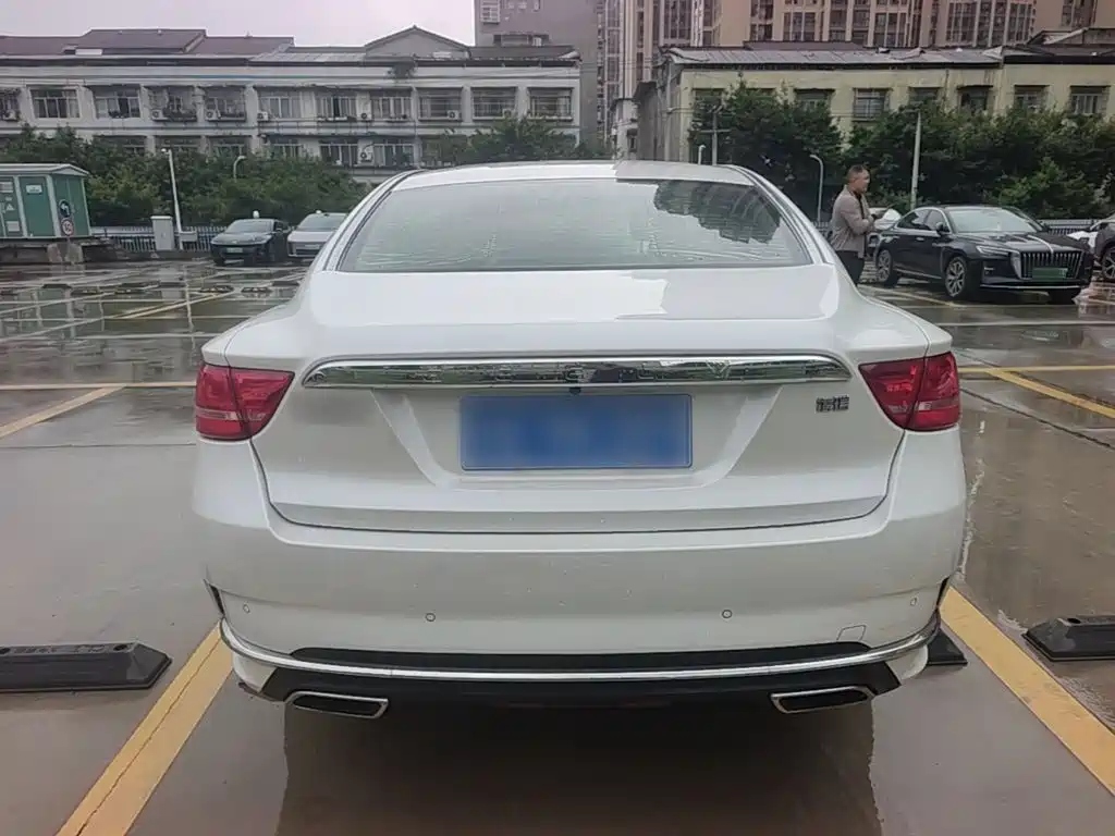 Фото 6 - Geely Borui