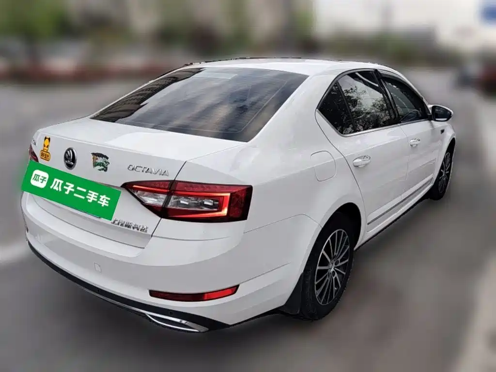 Škoda Octavia 2018 TSI230 DSG Luxury Edition фото 15