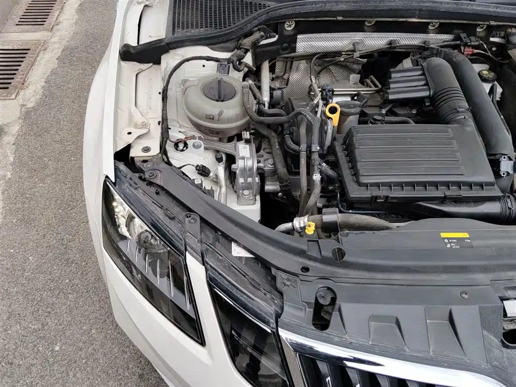 Škoda Octavia 2018 TSI230 DSG Luxury Edition фото 3