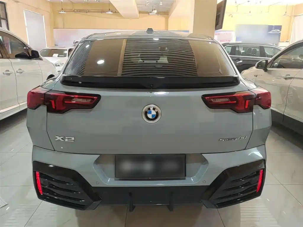 BMW X2 (Import) 2024 sDrive25i M Sport Package фото 6