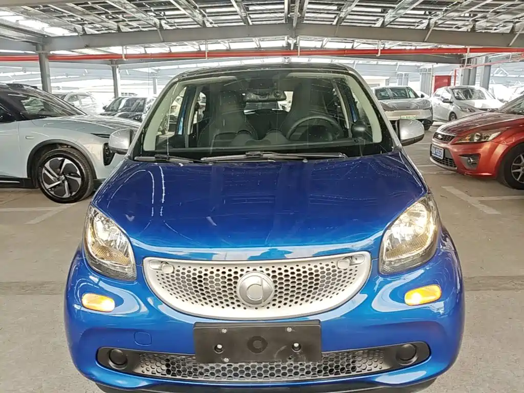 Фото 3 - smart forfour