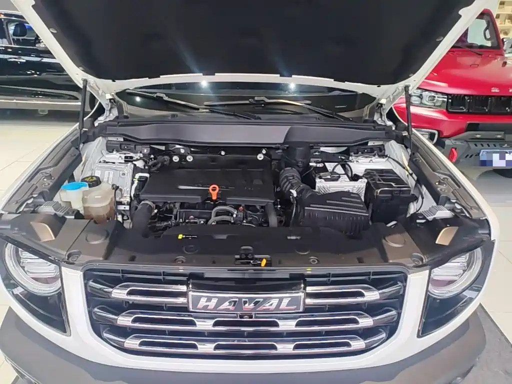 Haval Dargo 2021 2021 1.5T DCT 2WD Border Collie Edition