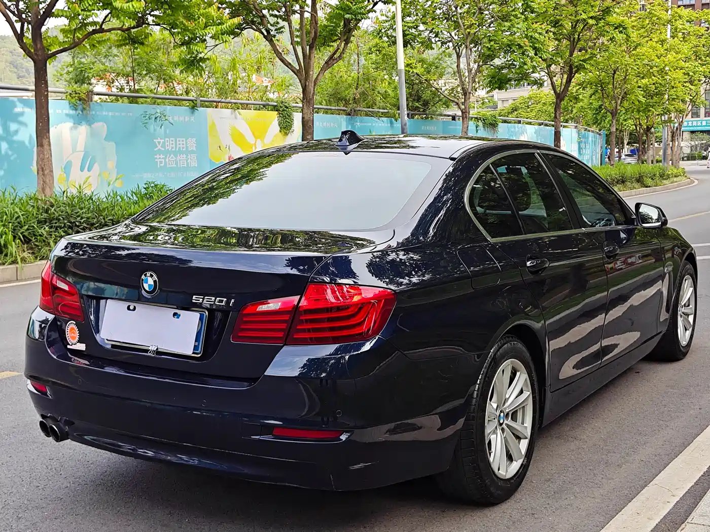 BMW 5 Series (Import) 2014 520i Classic фото 17