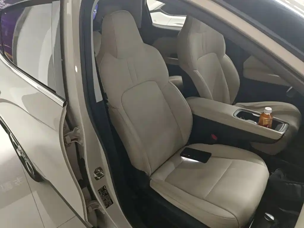Wuling Motors Wuling Binguo PLUS 2024 2024 401km Range 5-seater