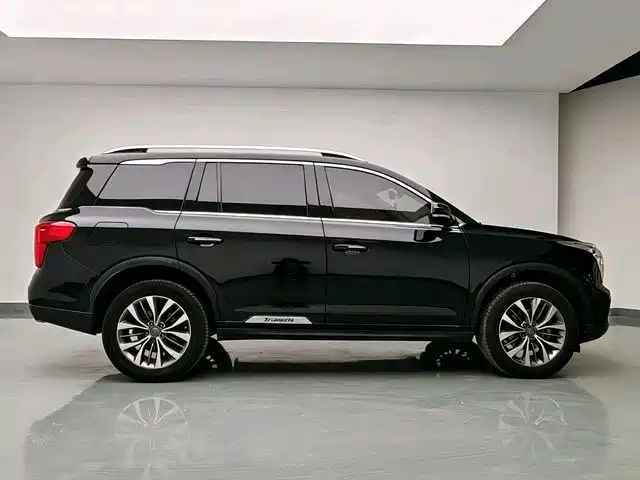 GAC Trumpchi Trumpchi GS8 2017 320T 2WD Luxury Smart Connect (7-seater) фото 11