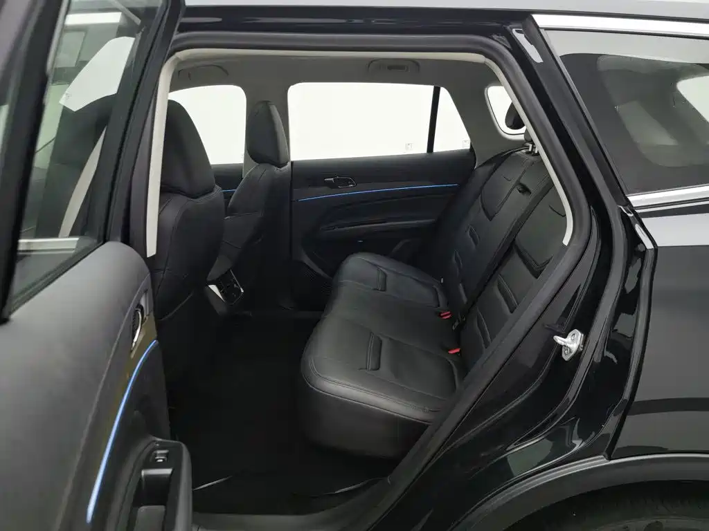 Ford Lingrui 2022 2022 EcoBoost 170 Platinum