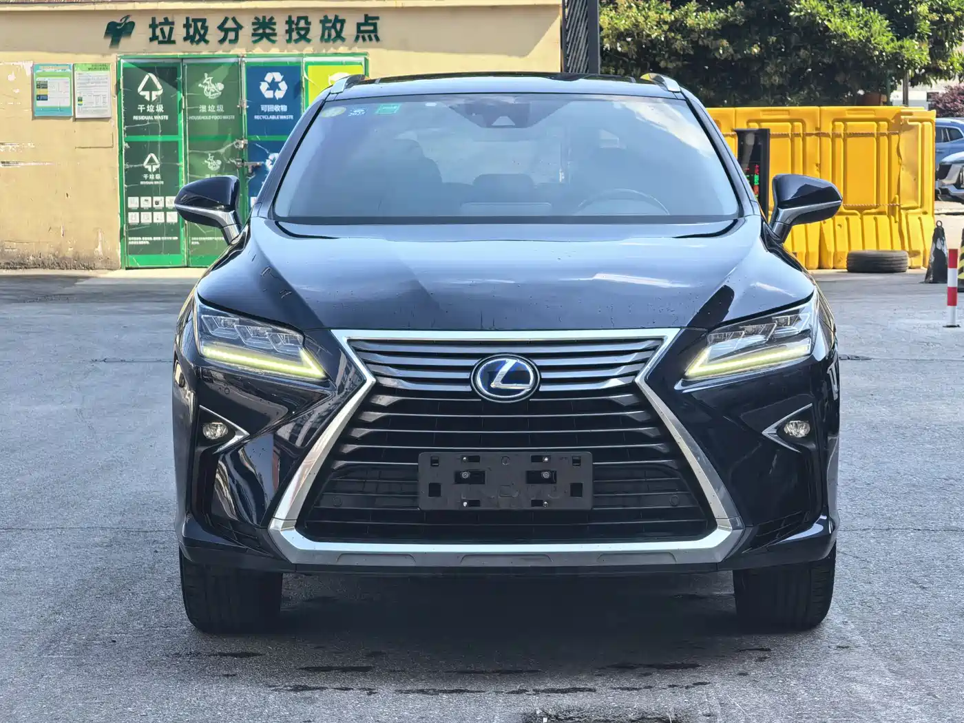 Lexus RX 2016 450h 4WD Elegance Edition фото 3