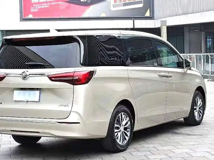 Buick GL8 2021 ES Landlord 653T Premium фото 9