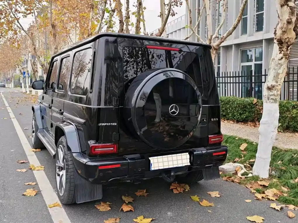 Mercedes-Benz G-Class 2022 G 350 фото 3