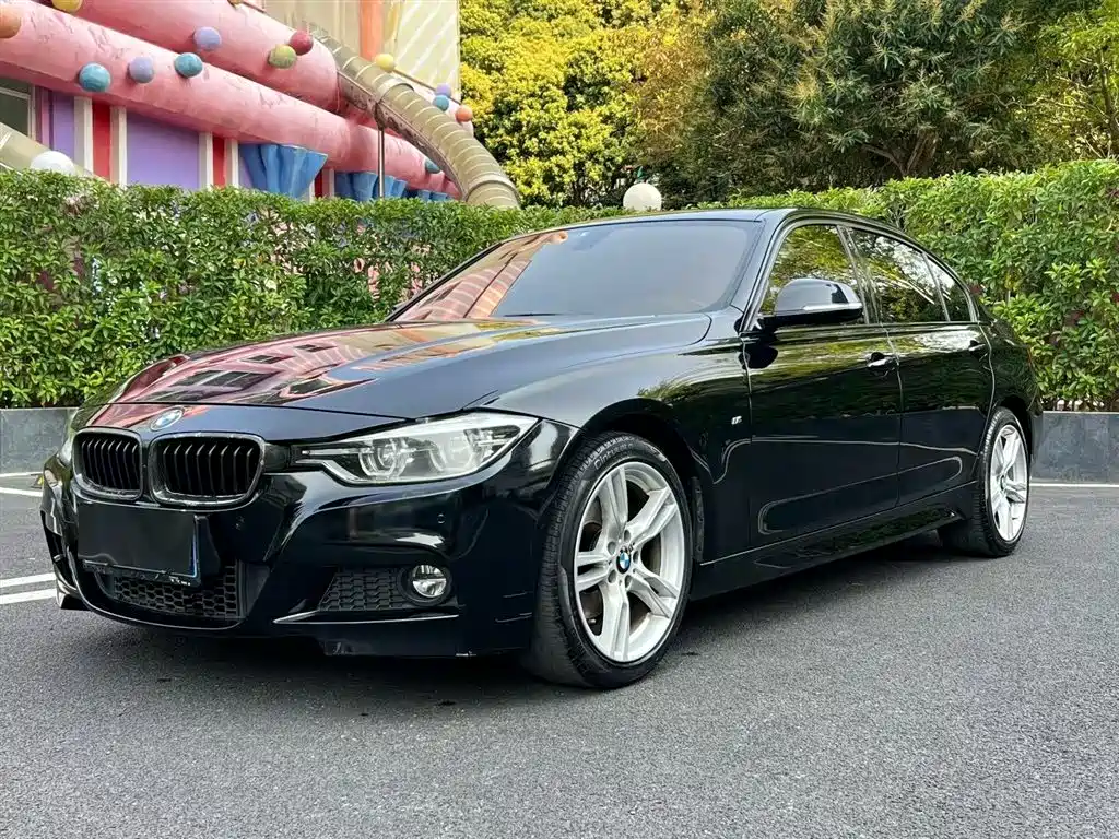 BMW 3 Series 2017 320Li M Sport фото 21