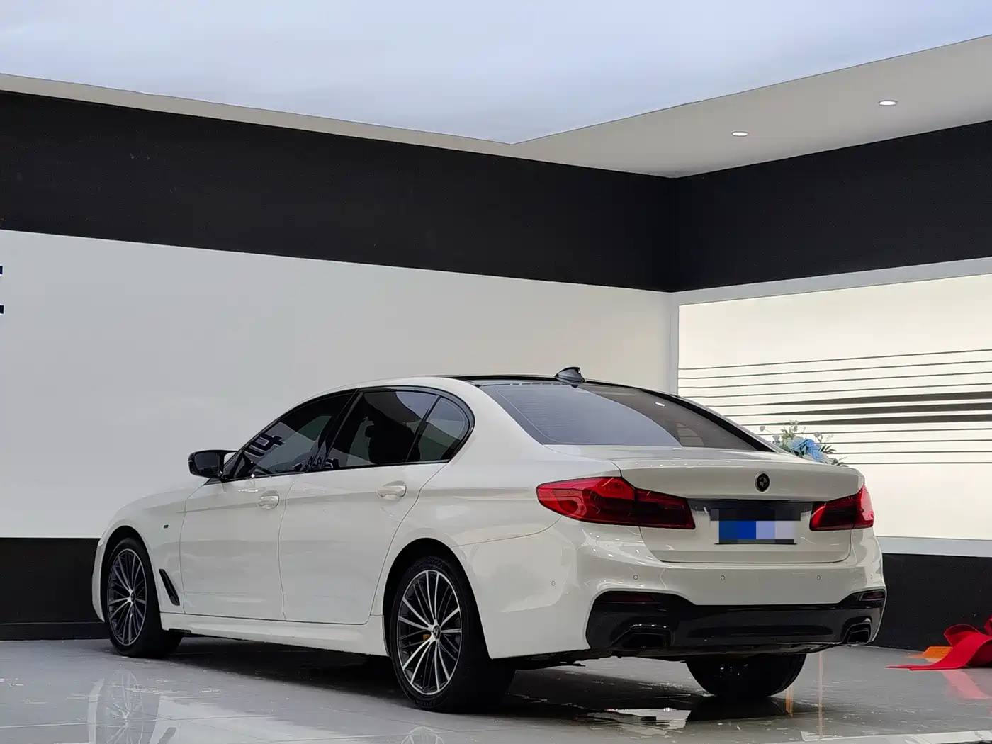 BMW 5 Series 2020 530Li Leading M Sport Package фото 9