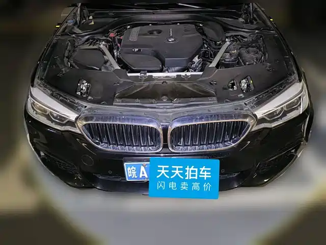 BMW 5 Series 2020 530Li Leading M Sport Package — фото 3