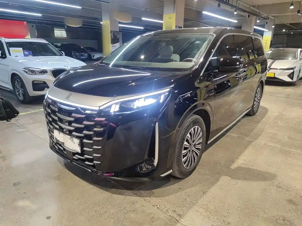 BYD Xia 2025 2025 DM-i 1.5T 180km Excellence
