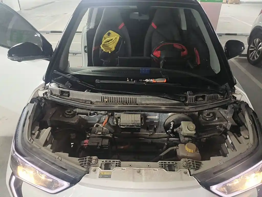 Chery New Energy Chery Wujie Pro 2023 2022 301km Mythical Beast Edition LFP