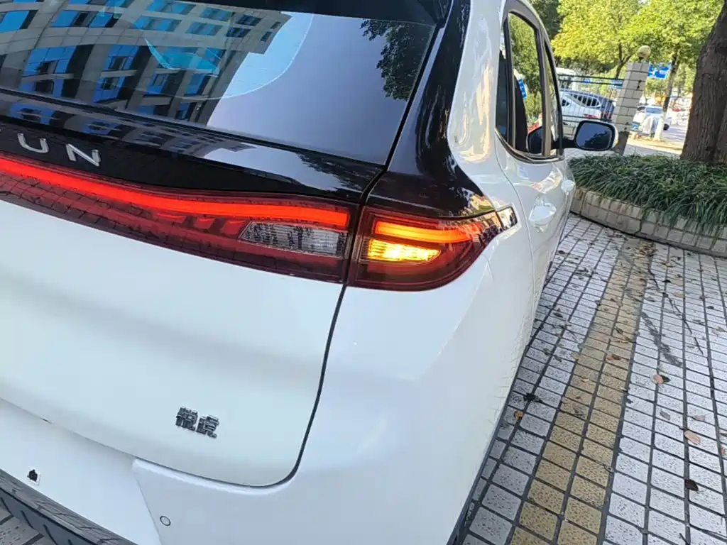 Dayun Yuehu 2021 2021 32.85kWh 2WD Elf Edition