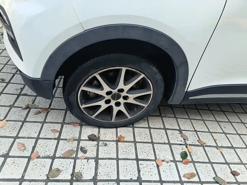Dayun Yuehu 2021 2021 32.85kWh 2WD Elf Edition