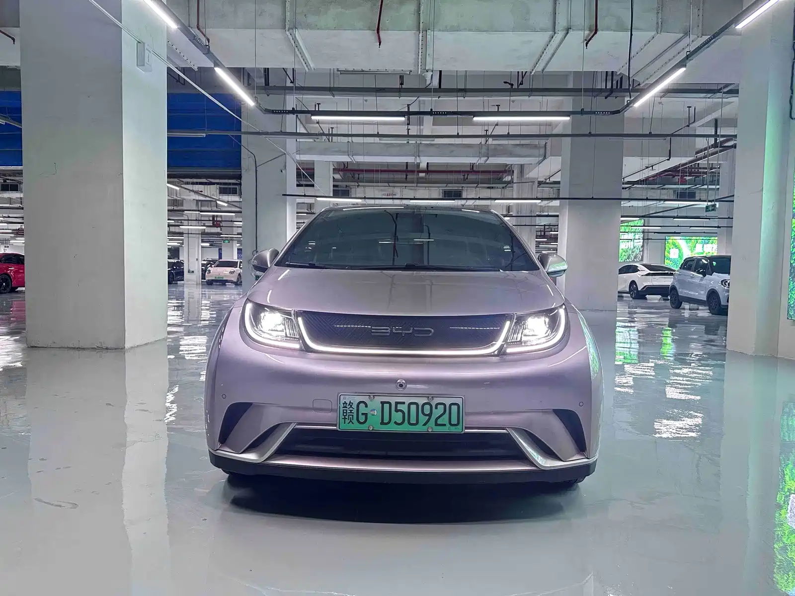 Фото 2 - BYD Dolphin