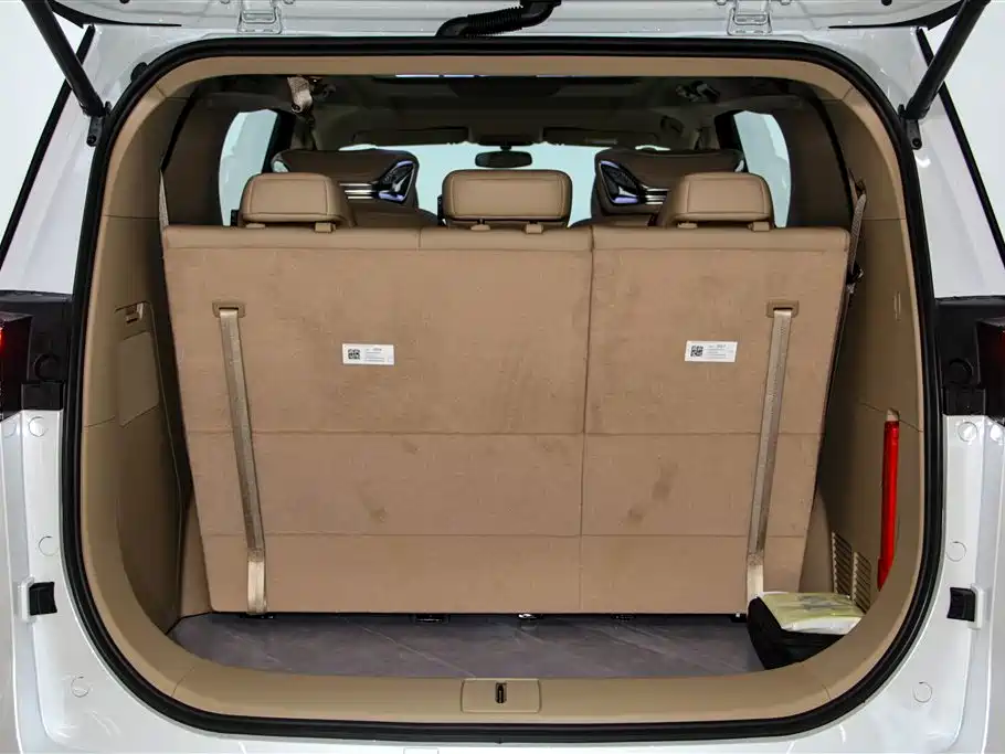 Buick GL8 2025 Land Business Class Comfort DG Edition фото 34