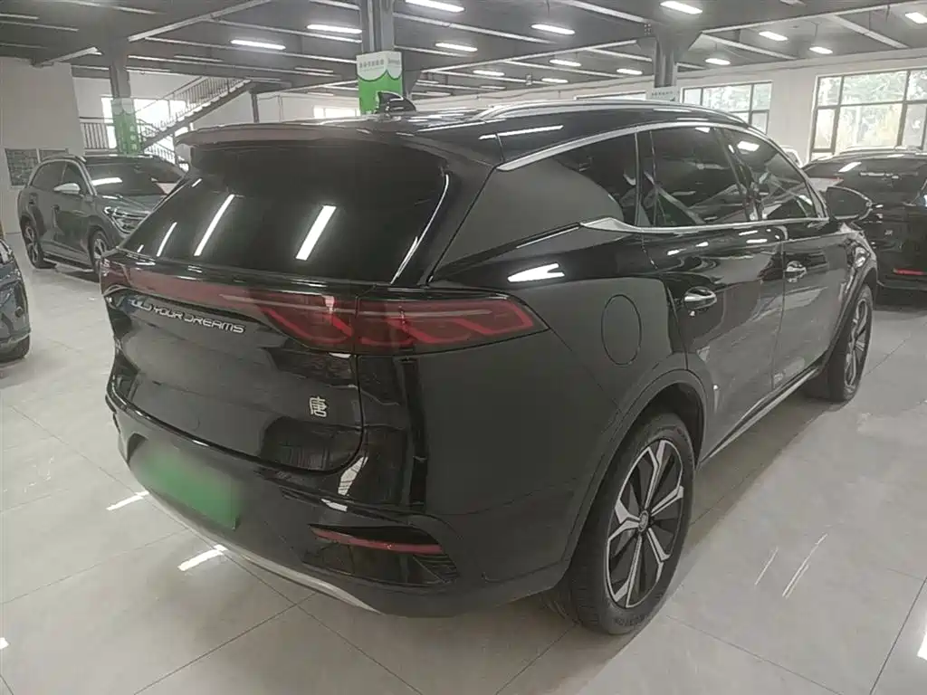 BYD Tang New Energy 2024 EV Glory Edition 600KM Premium фото 7