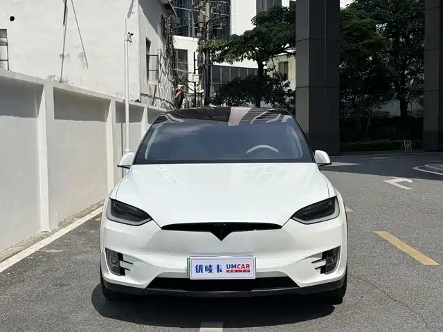 Tesla Model X 2017 Model X 100D Long Range — фото 2