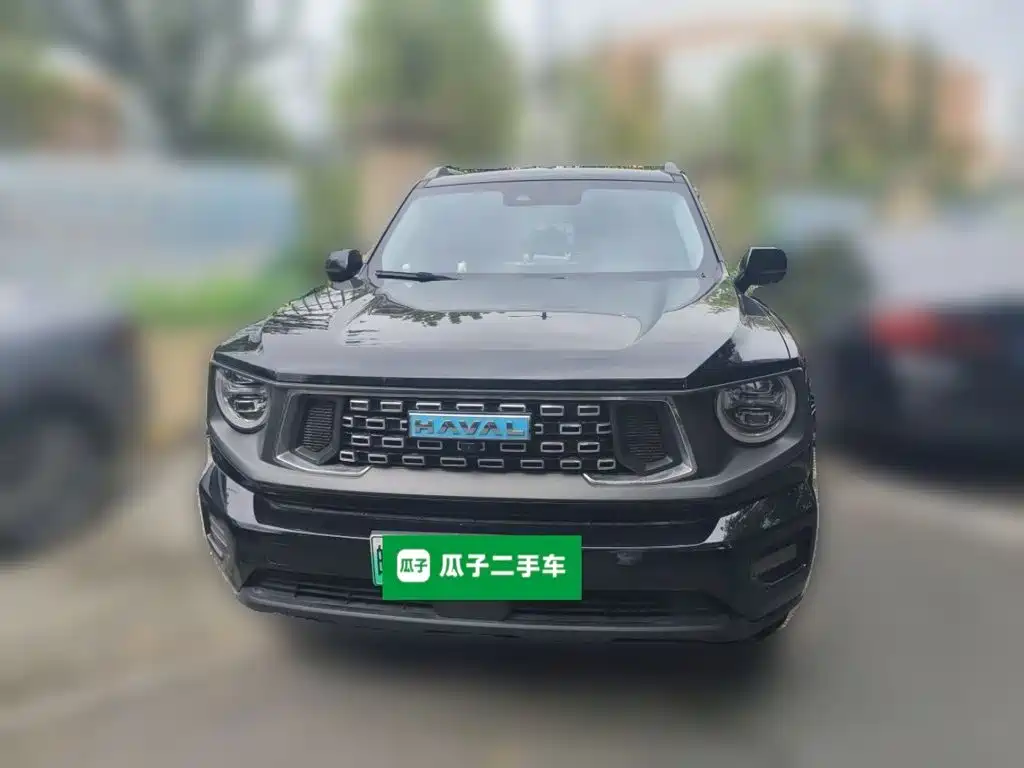 2024 Haval Second-Generation Big Dog New Energy