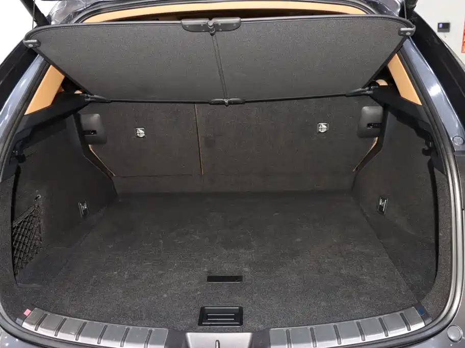 Lexus NX 2024 2023 260 FWD Creative Travel Special Edition